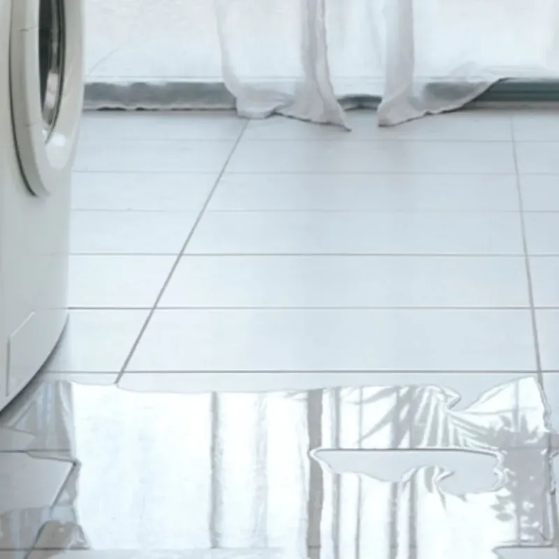 Appliance Leak Cleanup in Eagle, WI