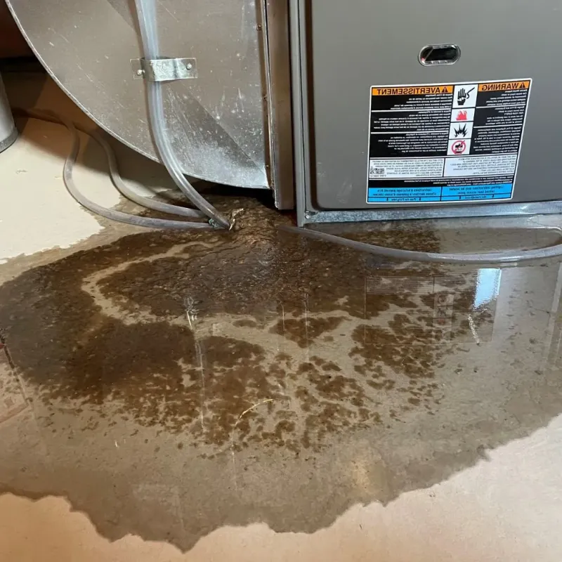 Pipe Burst and Leak Restoration in Eagle, WI